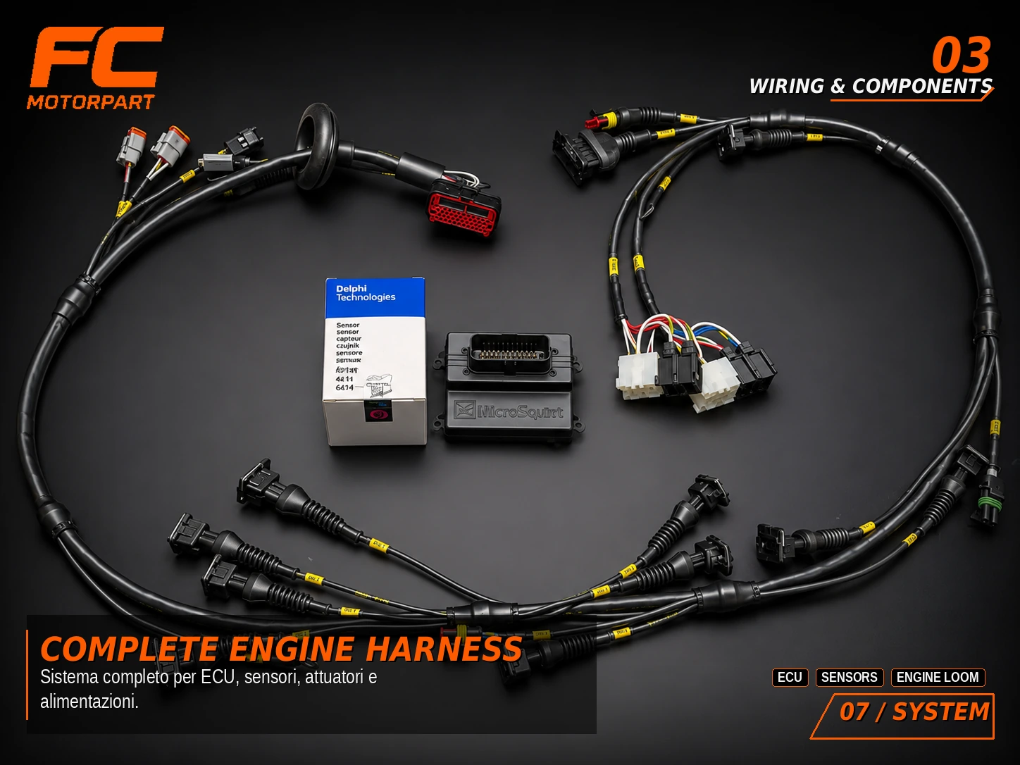 Cablaggio automotive FC MOTORPART con MicroSquirt e componenti